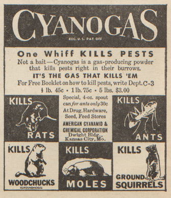 American Cyanamid & Chemical Corporation's Cyanogas - Not bait - cyanogas is a gas-producing powder that kills pests right in their burrows. Kills rats, woodchucks, moles, ants, ground squirrels.